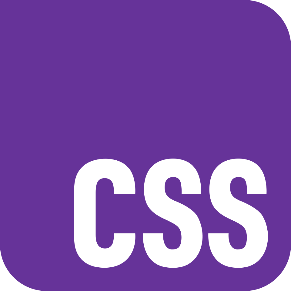 the official css logo
